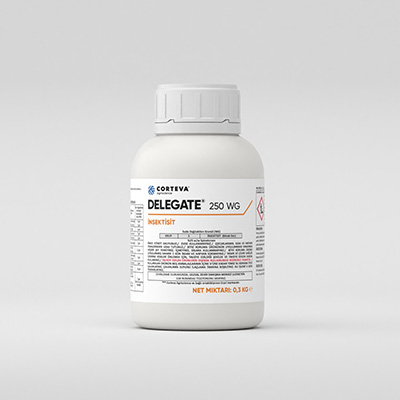 Delegate - 3D Product Rendering - Tunç Yalçın