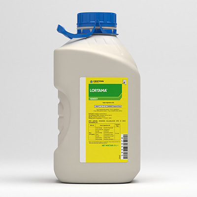 Lortama Front - 3D Product Rendering - Tunç Yalçın