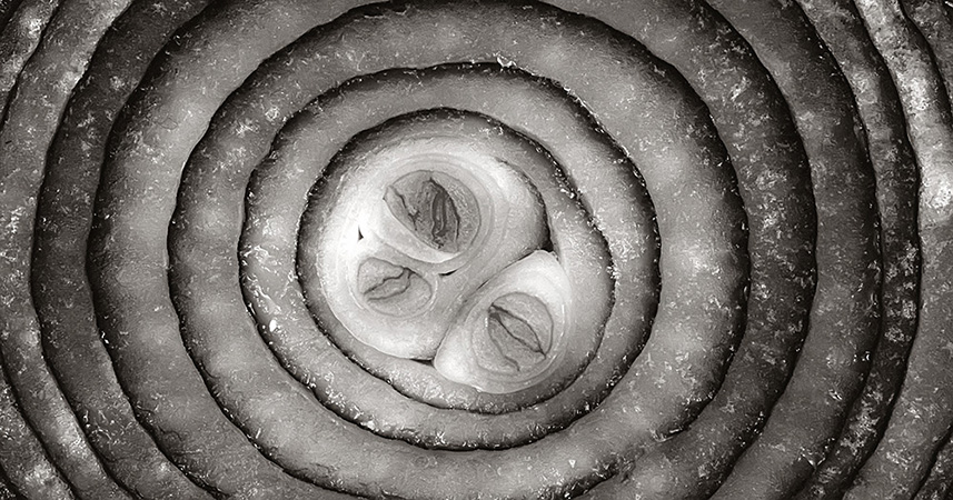 Still Life Photography Composition 18 - Tunç Yalçın