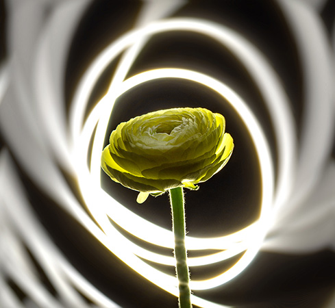 Still Life Photography Composition 19 - Tunç Yalçın