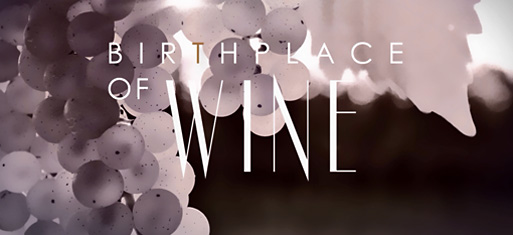 Videography Portfolio Video 7 - Tunç Yalçın